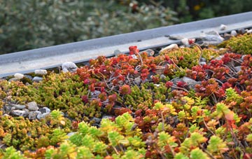 the cost of Low Snaygill green roof installation