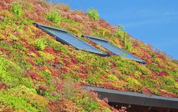 Low Snaygill living roof systems
