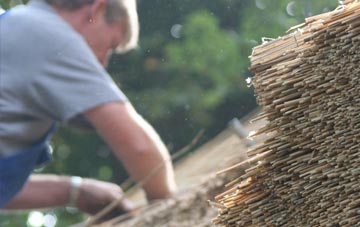 professional Low Snaygill thatchers