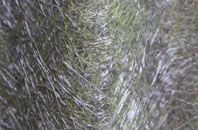 Low Snaygill fibreglass roof work