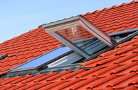Low Snaygill roof window